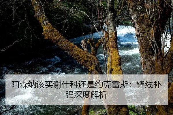 阿森纳该买谢什科还是约克雷斯：锋线补强深度解析