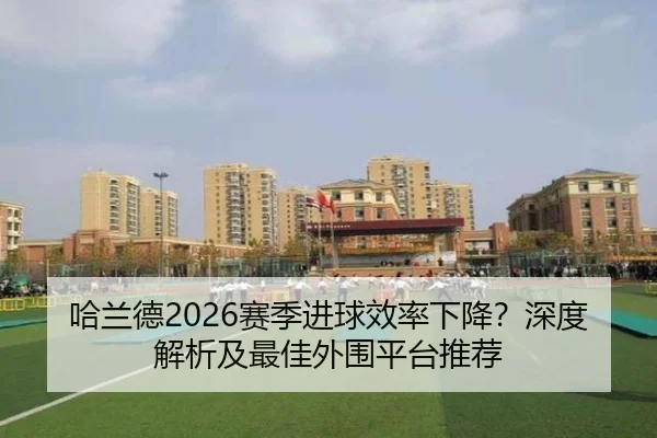 哈兰德2026赛季进球效率下降？深度解析及最佳外围平台推荐